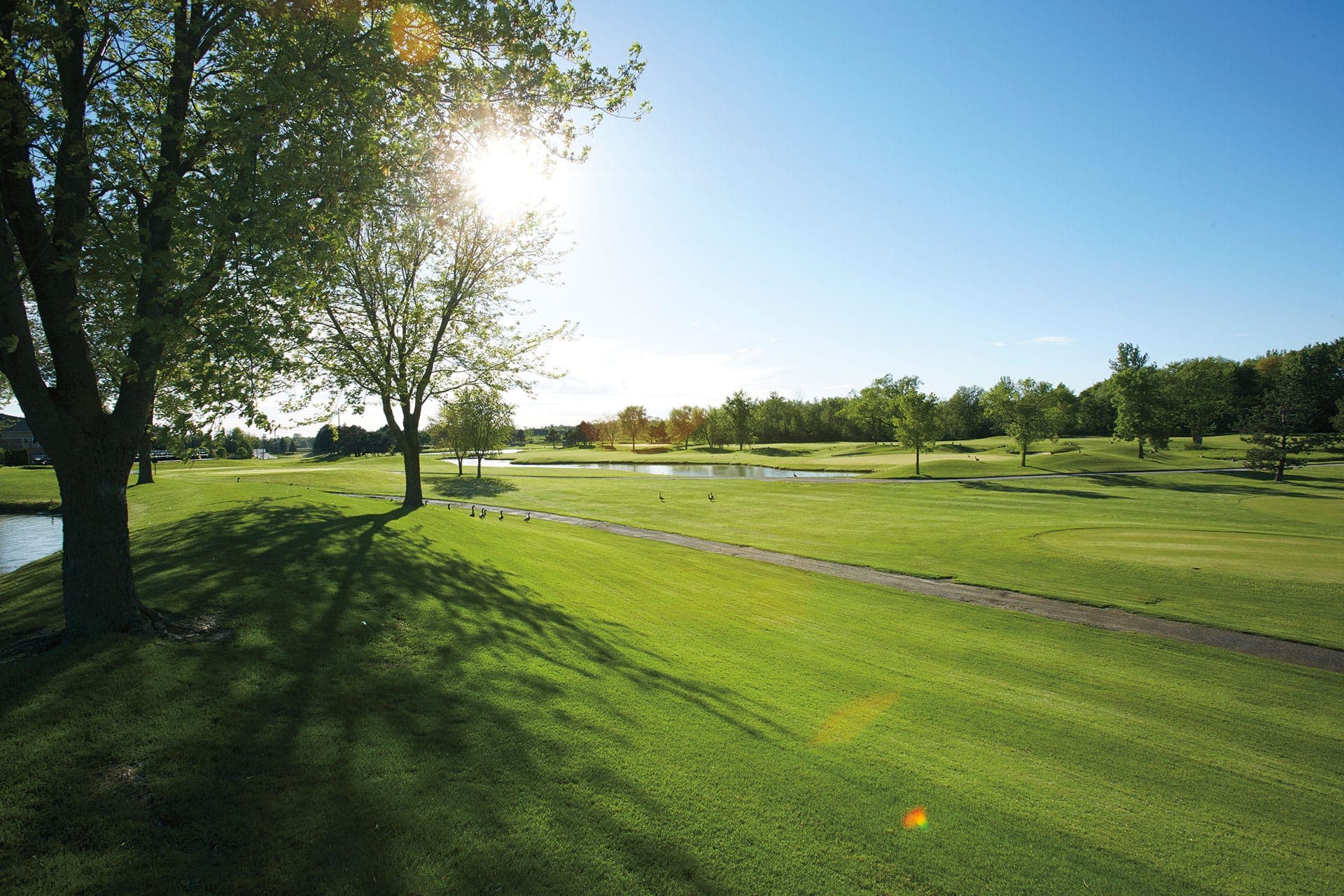 Upper Unionville Golf Club — sunset fairway
